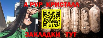 прущие крисы Тара