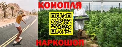 прущие крисы Тара