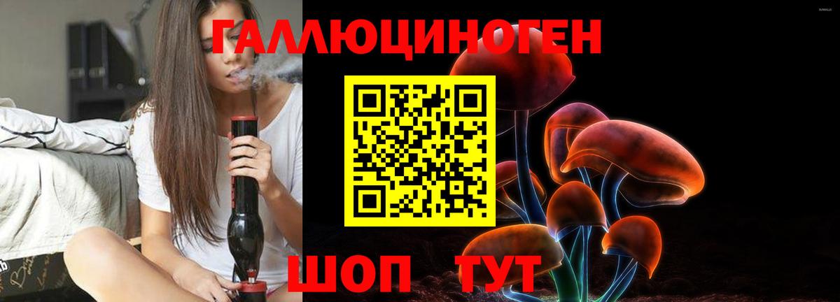 Галлюциногенные грибы Cubensis  Вход с VPN  где продают   Галлюциногенные грибы мицелий  Кореновск 